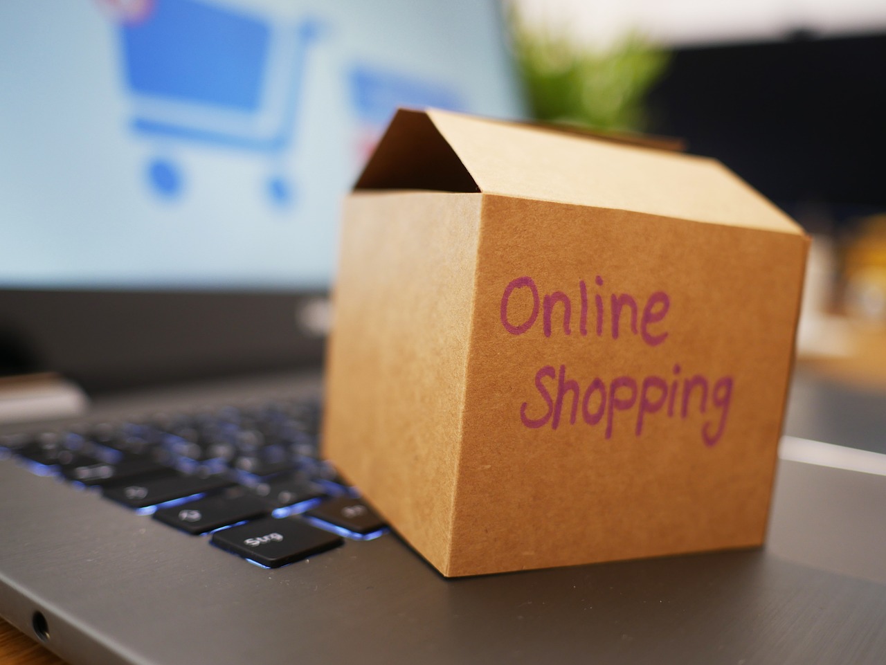 Online Grocery Shopping